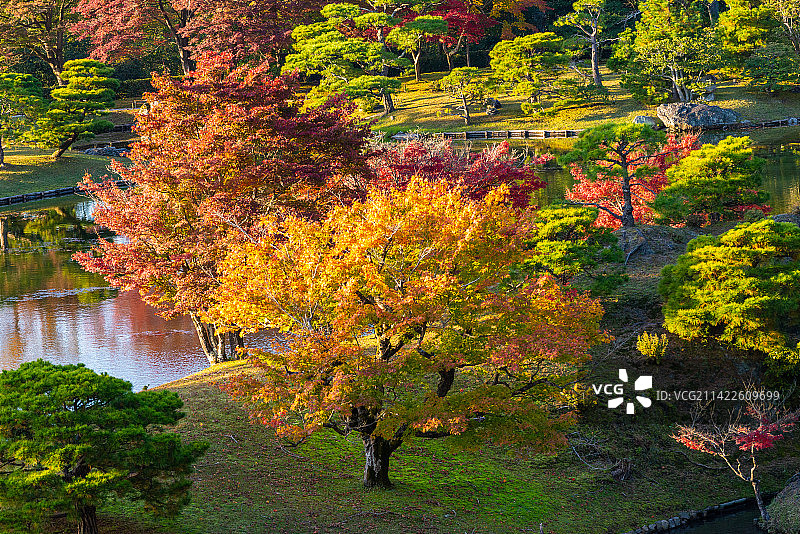 日本京都世界文化遗产桂离宫秋天景色风光图片素材