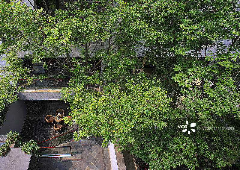 绿荫下的别墅图片素材