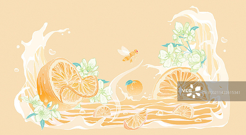 香橙茉莉花插画图片素材