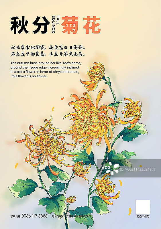 秋分节气菊花传统节日海报设计图片素材