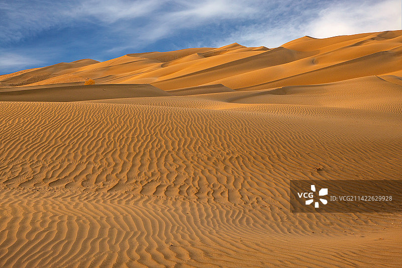 天然沙画~~达克拉玛干沙漠图片素材