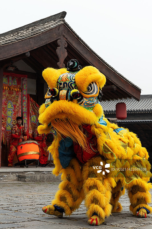 威风凛凛大狮子图片素材