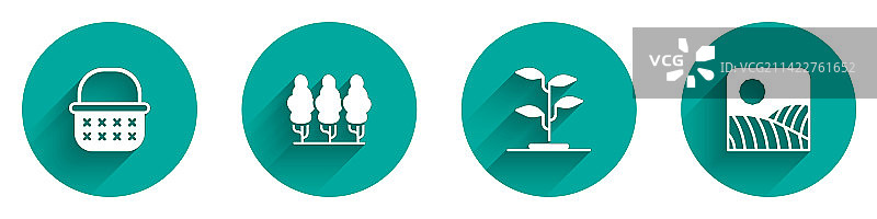 柳条筐、果树苗图片素材