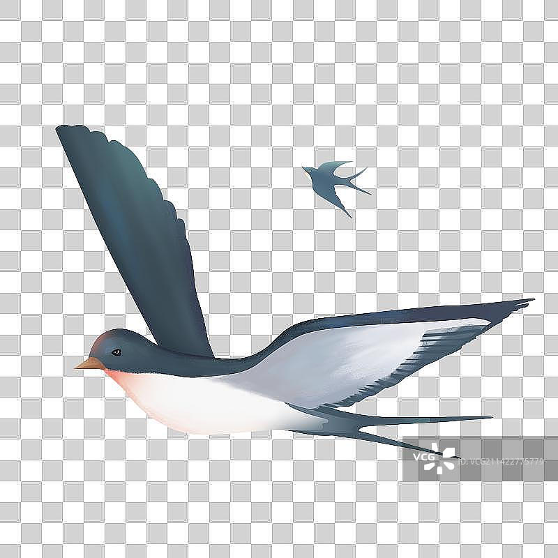 春天燕子元素图片素材