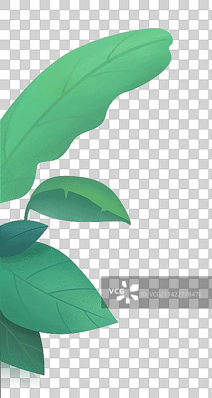 植物叶子元素图片素材