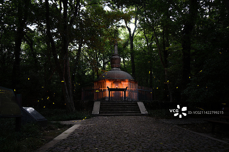 南京灵谷寺宝公塔夏日萤火虫图片素材