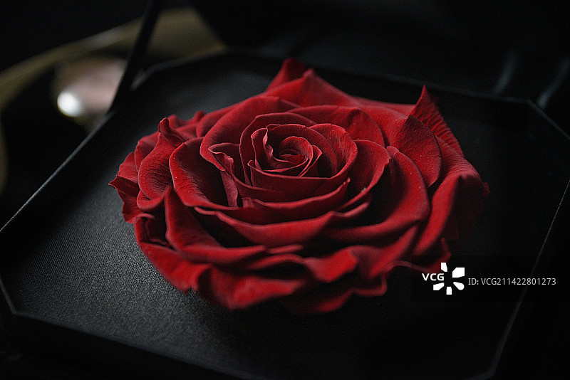 浪漫永生玫瑰图片素材