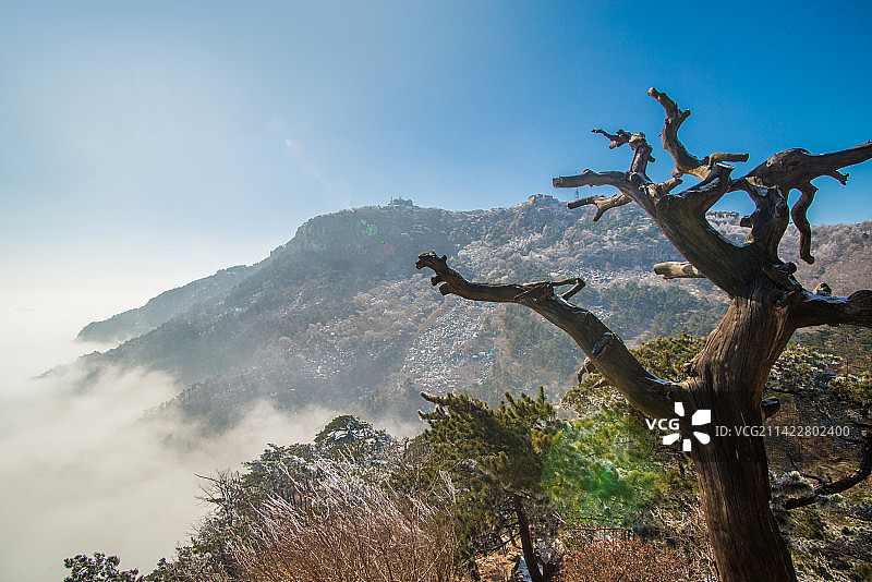 泰山雾凇云海图片素材