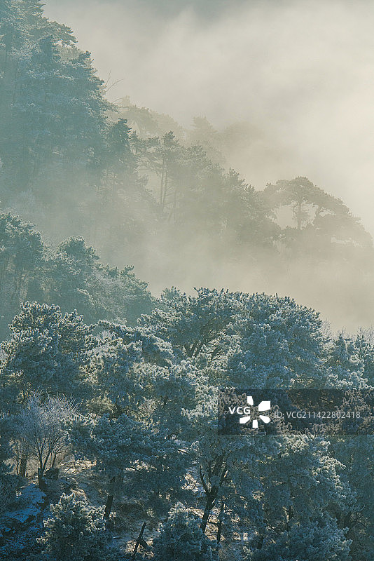 泰山雾凇云海图片素材