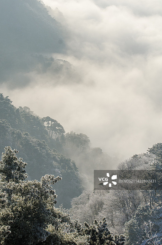 泰山雾凇云海图片素材