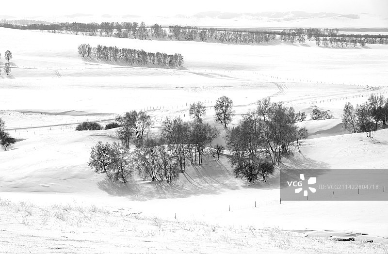 乌兰布统雪原图片素材