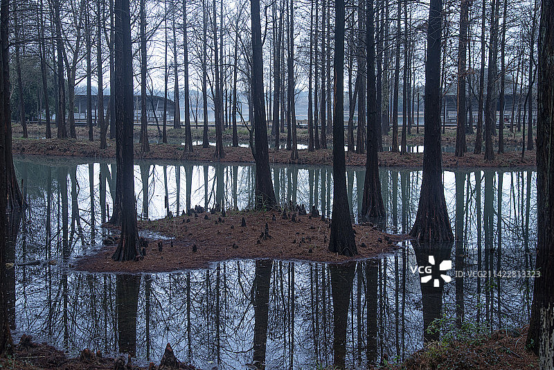 杭州西溪湿地图片素材