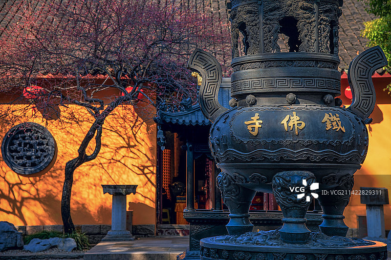 古寺红梅报春来图片素材