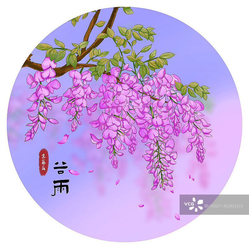 顾玉洁器紫藤花插画设计图片素材