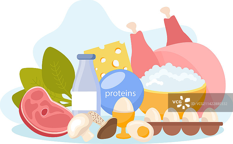 含蛋白质的食物组成图片素材