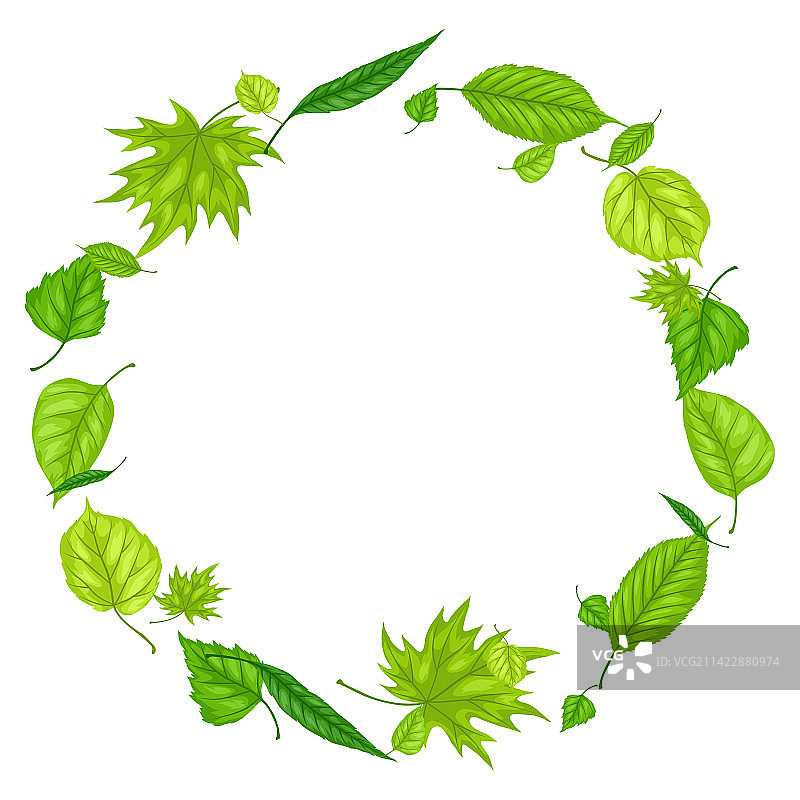 美丽装饰春季树叶边框图片素材