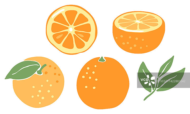 成熟橙子装饰水果树叶素材集合图片素材
