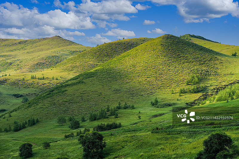 蓝天白云下起伏的草原图片素材
