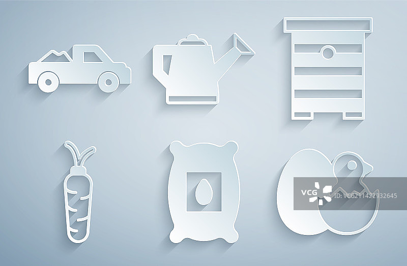 植物种子和蜂巢组合图片素材