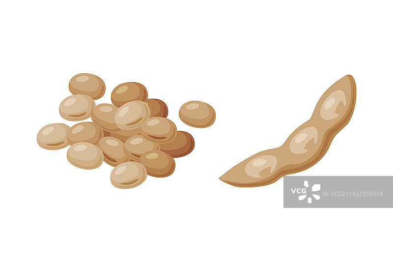 天然有机的大豆堆和干燥豆荚图片素材