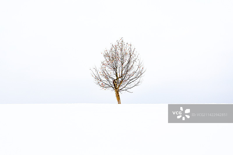 南京东郊雪后的大美风景图片素材