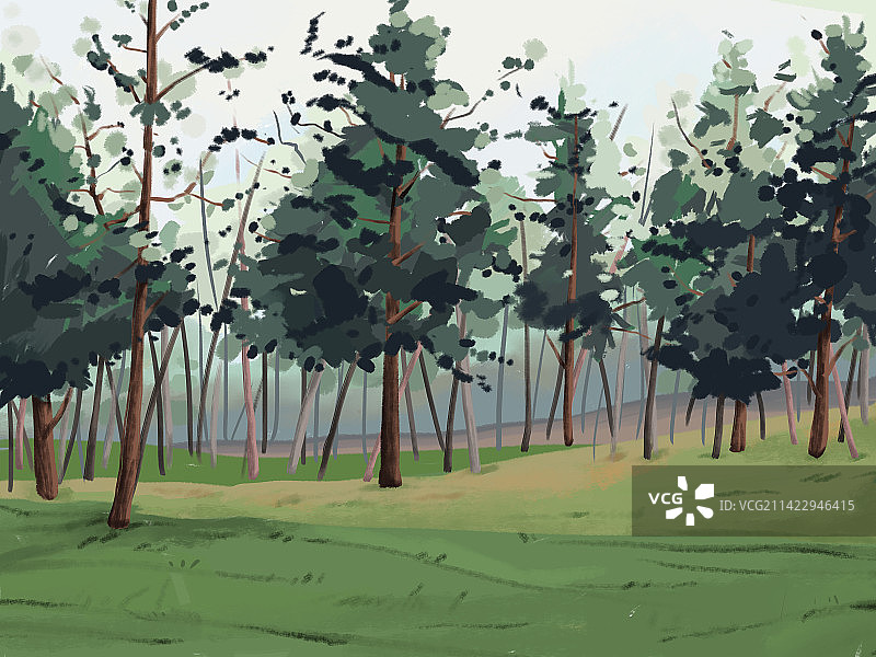 茂密的树林和治愈系的草坪图片素材