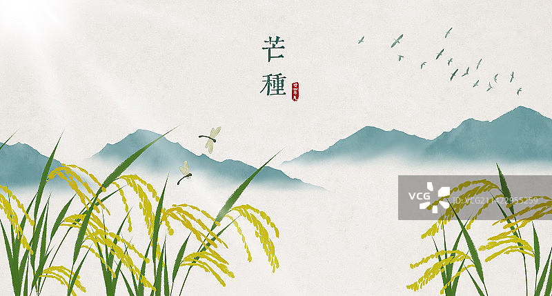 芒种二十四节气插画展板图片素材