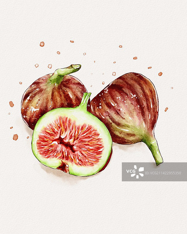 无花果图片素材