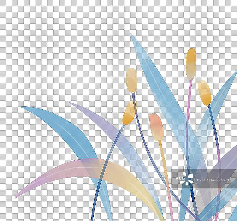 水彩风渐变芦苇插画元素图片素材
