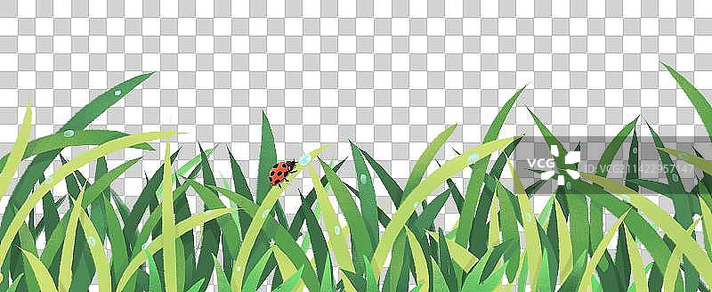 中国风传统文化惊蛰节气传统田野甲壳虫草丛图片素材