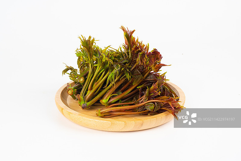 香椿蔬菜图片素材