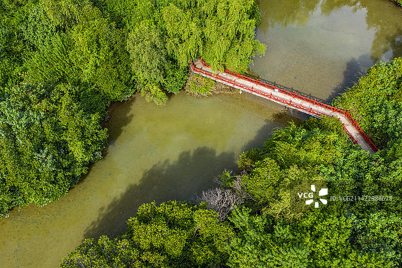 航拍海南三亚红树林公园 三亚城市乐园儿童公园 水上红树林栈道天然氧吧图片素材