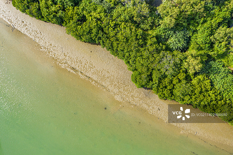 航拍海南三亚红树林公园 三亚城市乐园儿童公园 水上红树林栈道天然氧吧图片素材