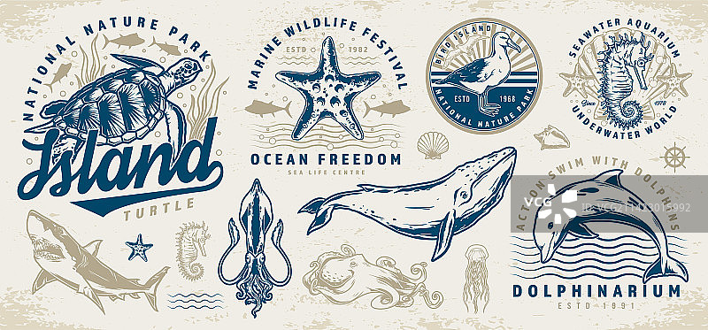 海洋动物彩色贴纸套装图片素材