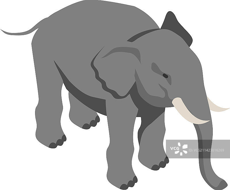 2.5D大象图片素材