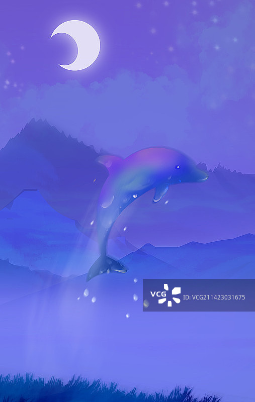 蓝色海洋中的海豚图片素材