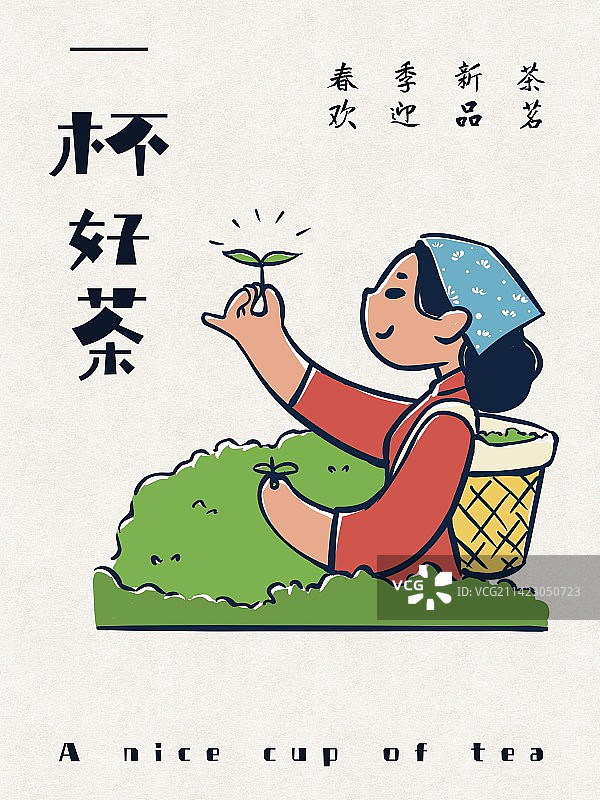 茶文化—采茶图片素材