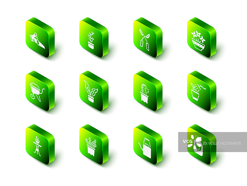 盆栽中的异国情调热带植物园艺图片素材