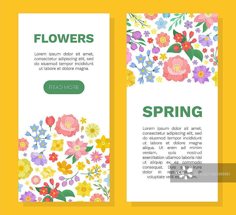 盛开的芬芳花园花卉卡片设计图片素材