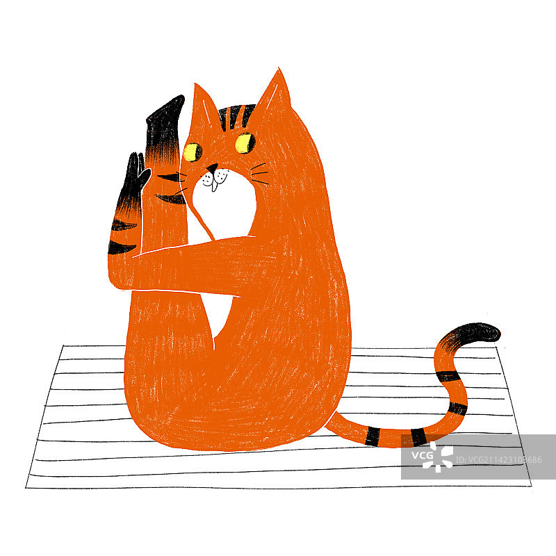 做瑜伽运动的猫咪图片素材