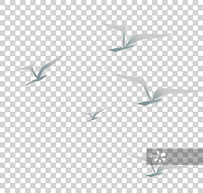 海鸥插画元素图片素材