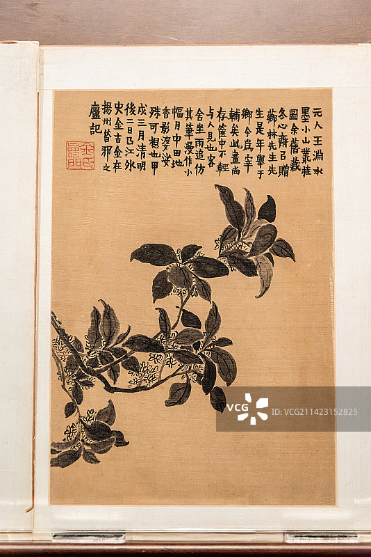 清代扬州八怪之一金农的杂画图图片素材