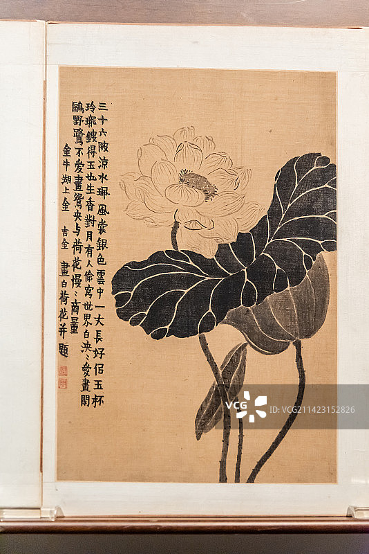 清代扬州八怪之一金农的杂画图图片素材