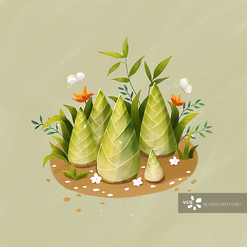 青色的竹笋图片素材