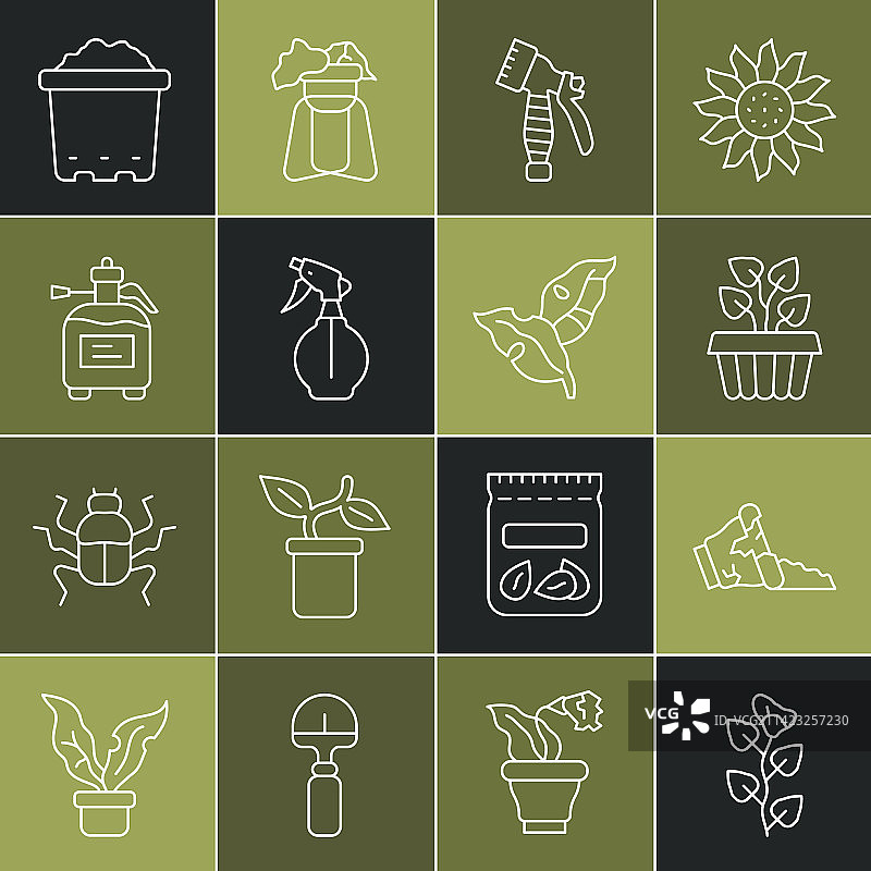 常春藤树枝破盆室内植物常春藤线条图片素材