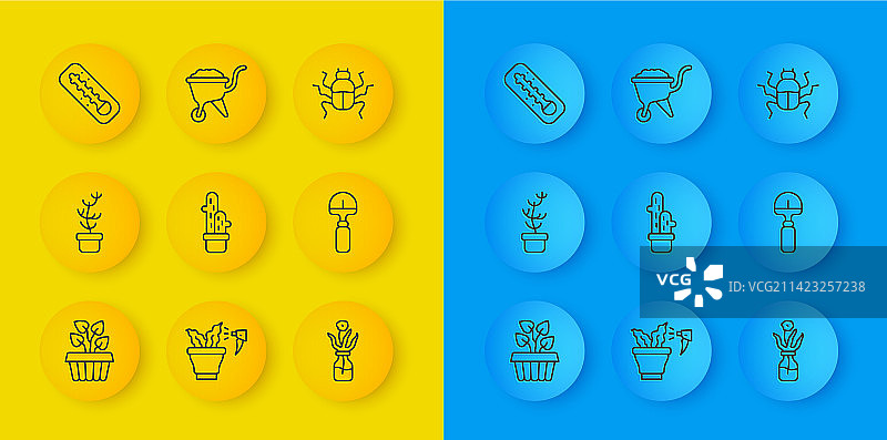 室内盆栽常春藤图片素材