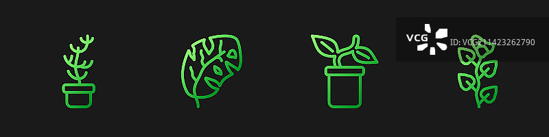 盆栽异域热带植物线条图片素材