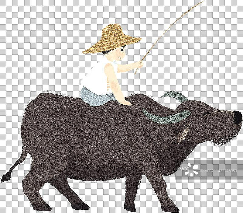 放牛的牧童人物元素图片素材