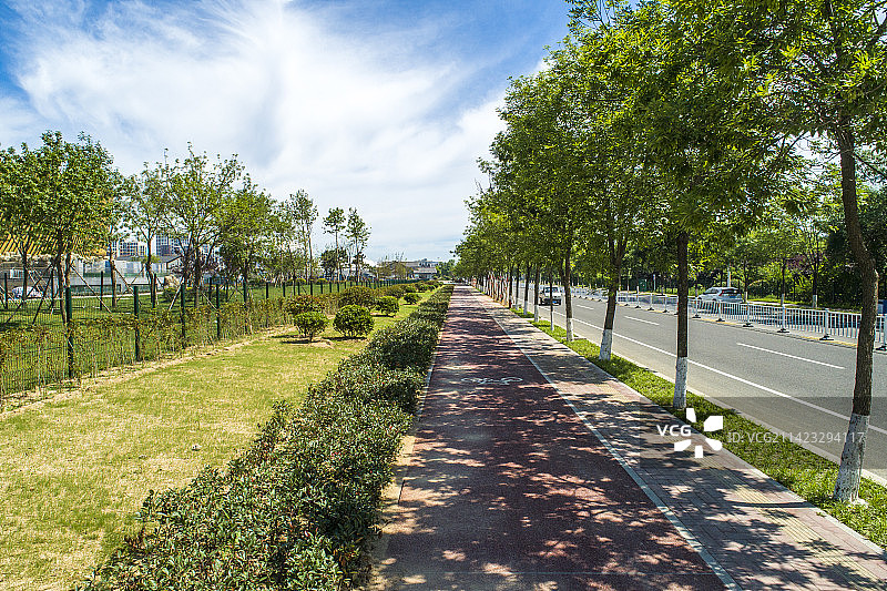 城市人行道绿化带图片素材
