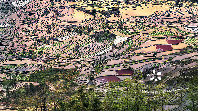 多彩云南元阳梯田图片素材